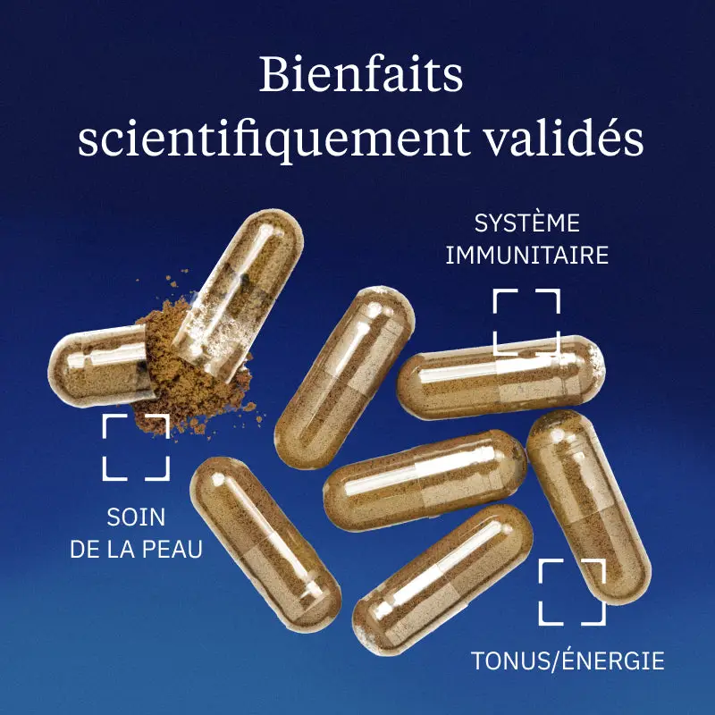 Acérola BIO - Image 2