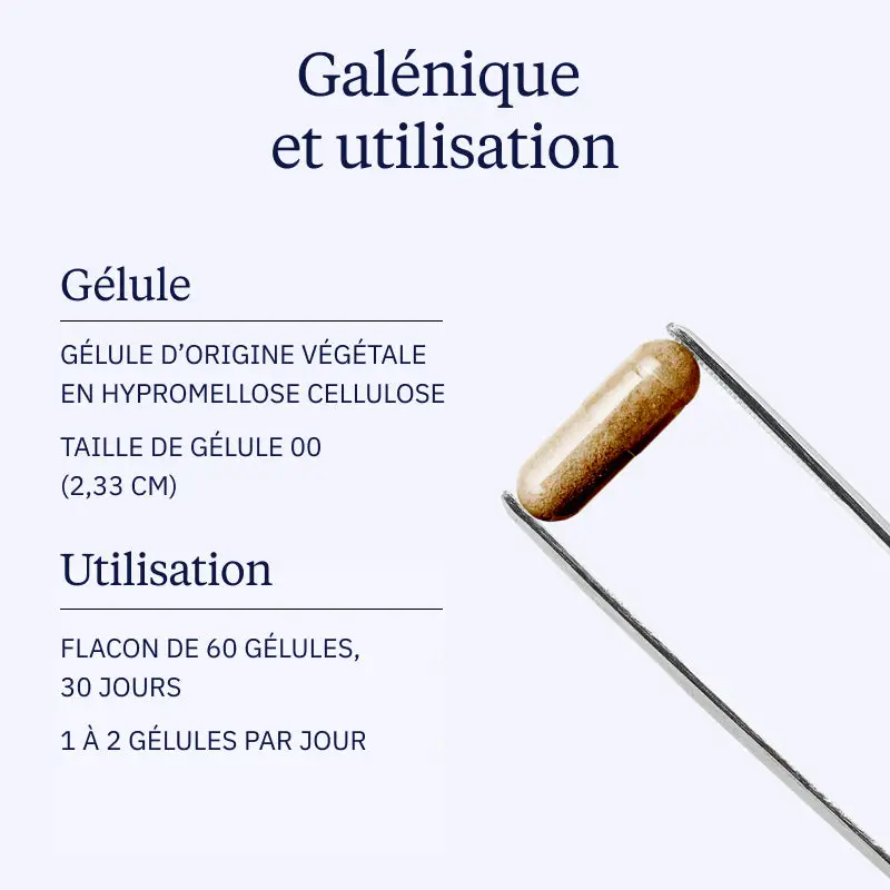 Acérola BIO - Image 4
