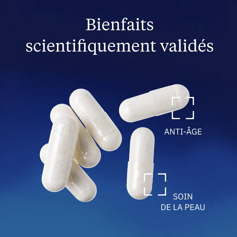 Acide hyaluronique BIO - Image 2