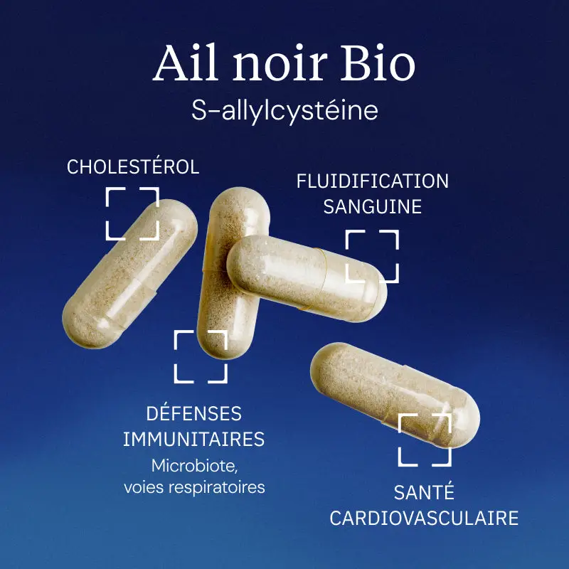 Ail noir fermenté Bio - Image 2