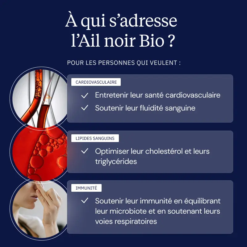 Ail noir fermenté Bio - Image 3