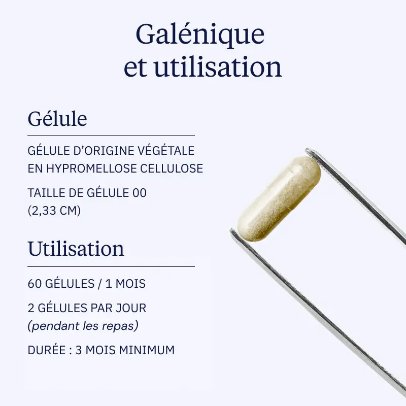 Ail noir fermenté Bio - Image 5