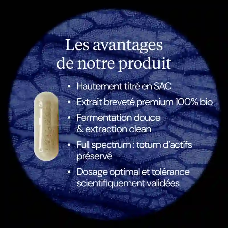Ail noir fermenté Bio - Image 7
