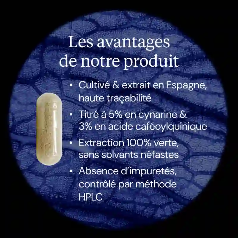 Extrait d'Artichaut - Image 3