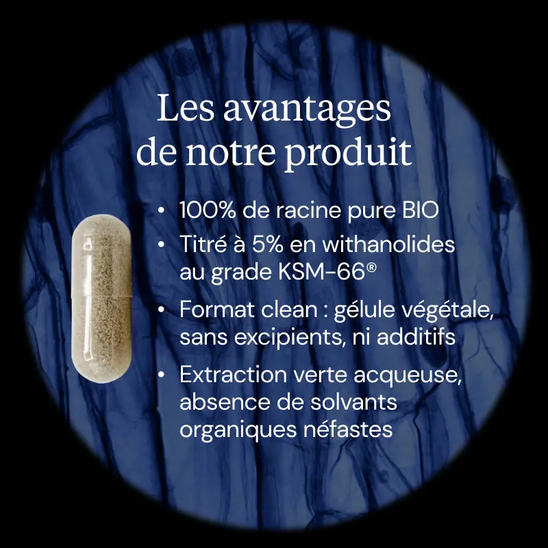 Ashwagandha BIO KSM-66 - Image 3