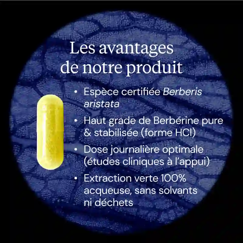 Berbérine pure - Image 3