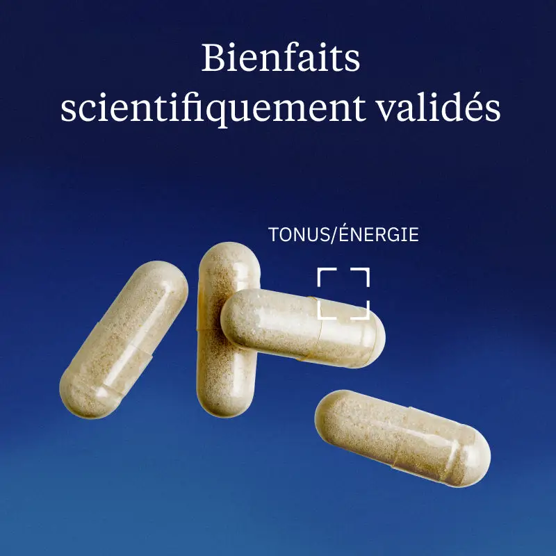 Bisglycinate de Fer - Image 2
