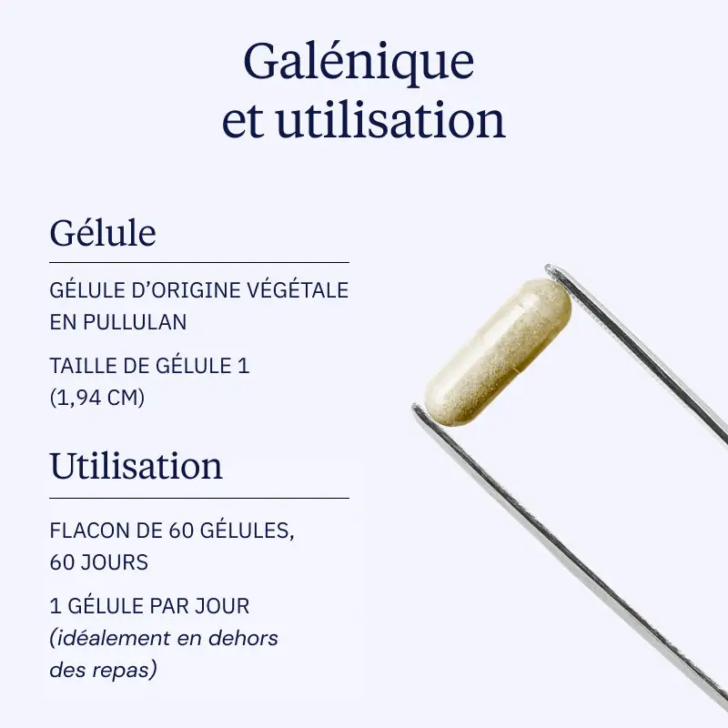 Bisglycinate de Fer - Image 4