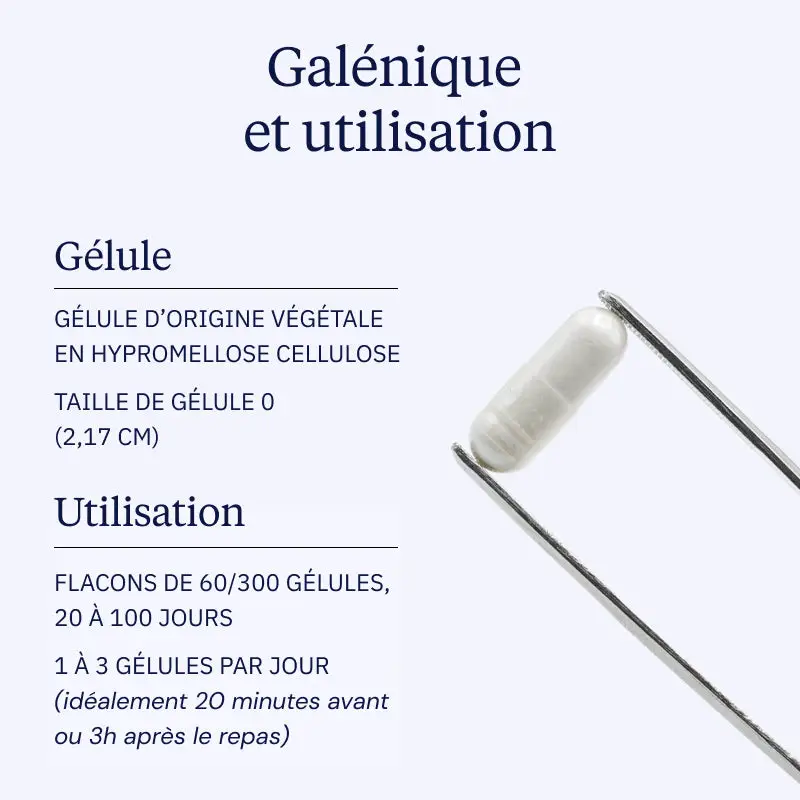 Bromélaïne pure - Image 4