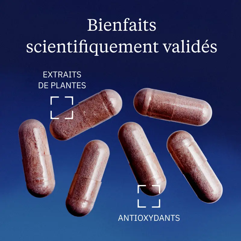 Canneberge BIO (Cranberry) - Image 2