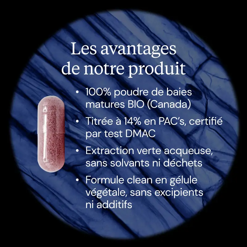 Canneberge BIO (Cranberry) - Image 3