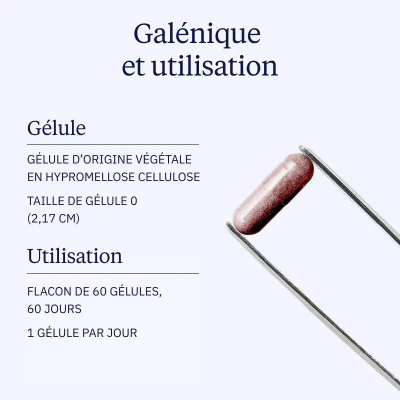 Canneberge BIO (Cranberry) - Image 4