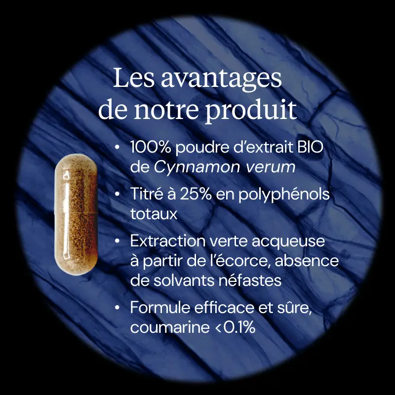 Cannelle de Ceylan BIO - Image 3