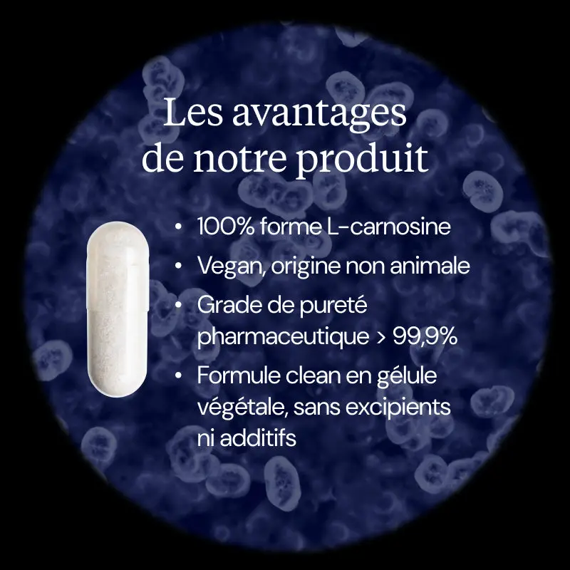 Carnosine pure - Image 3