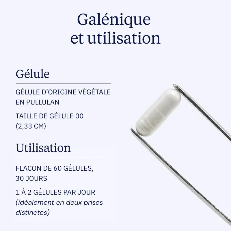 Carnosine pure - Image 4