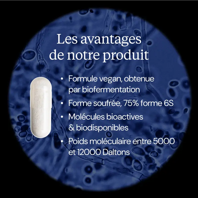 Chondroïtine Sulfate - Image 3