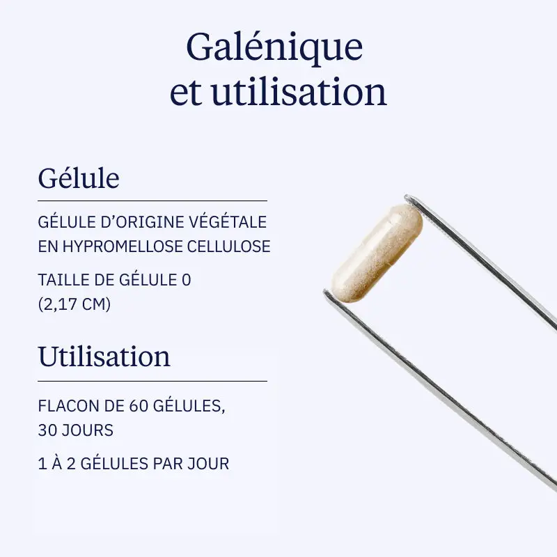 Complexe Essentiel - Image 5