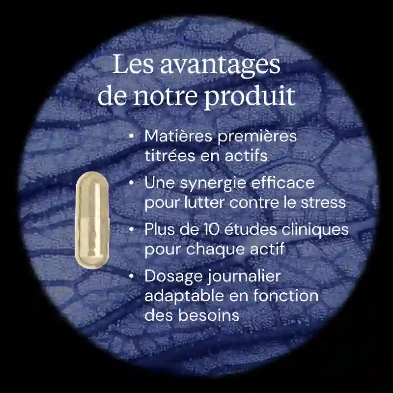 Complexe Fer et Vitamine C : Fer3 - Image 3