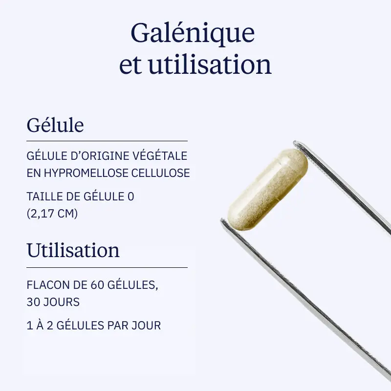 Complexe Fer et Vitamine C : Fer3 - Image 5