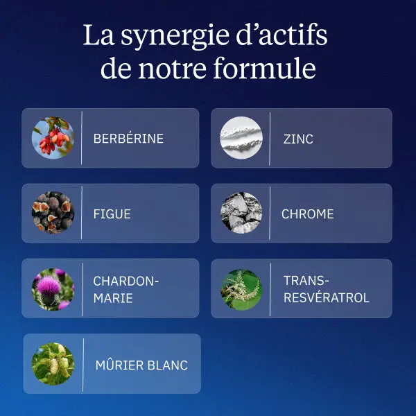 Complexe Glycémie - Image 4