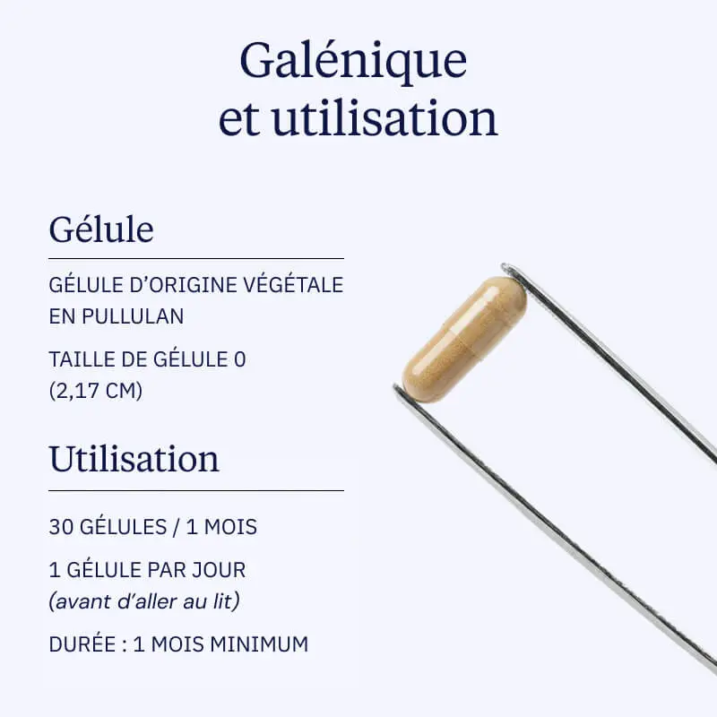 Complexe Sommeil profond nREM - Image 5