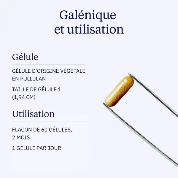 Complexe vitamines B - Image 6