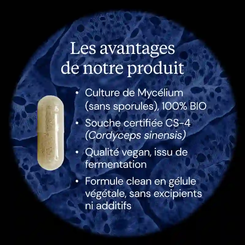 Cordyceps sinensis BIO - Image 3
