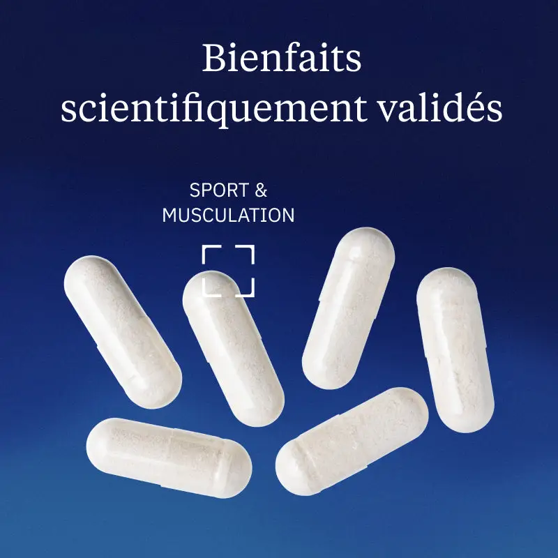 Créatine monohydrate Creapure® - Image 2