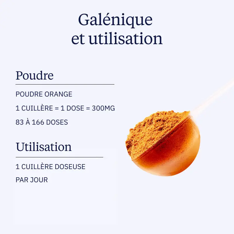 Curcuma BIO en poudre - Image 4