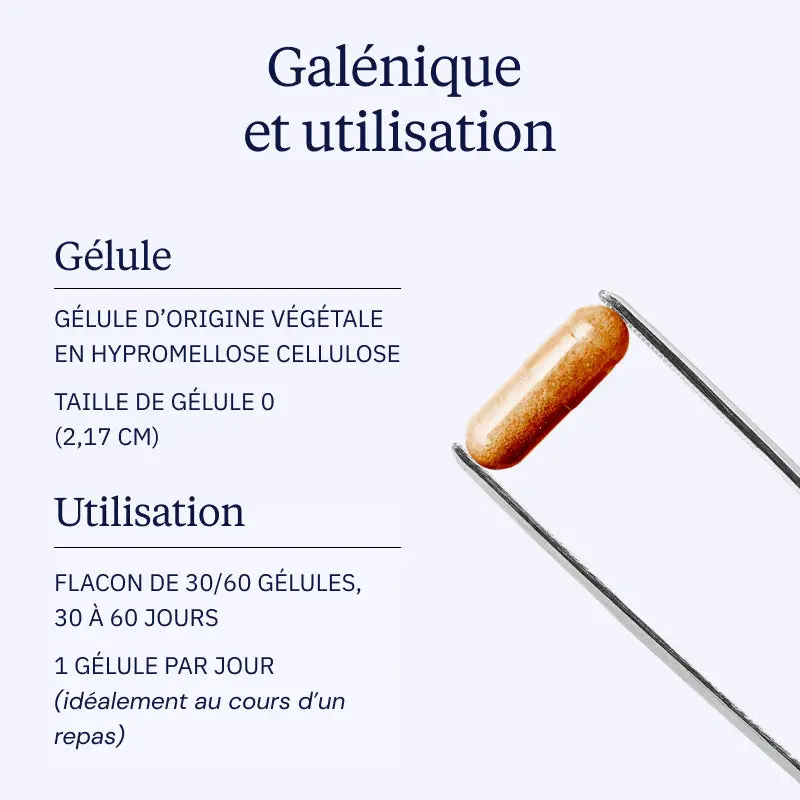 Curcumine BIO Optimisée - Image 4
