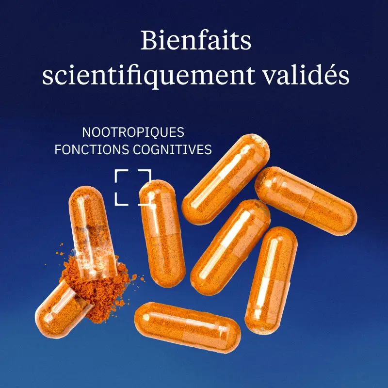 DHA Végétal - Image 2