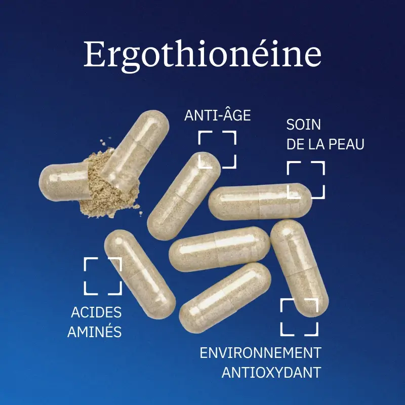 Ergothionéine pure - Image 2