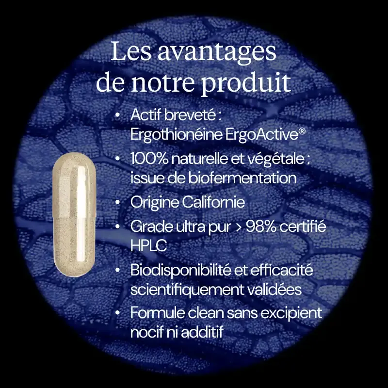 Ergothionéine pure - Image 3