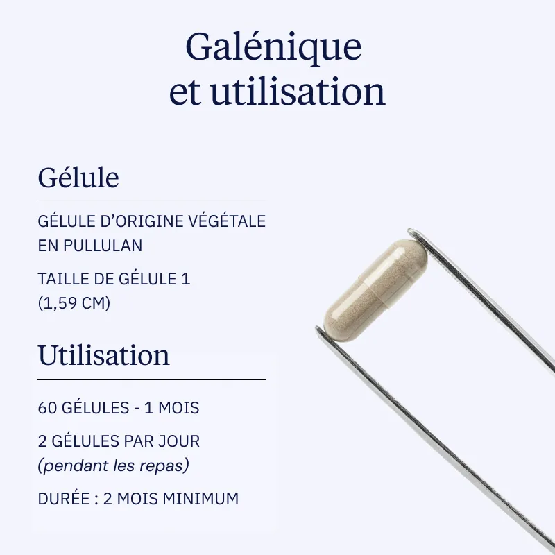 Ergothionéine pure - Image 5
