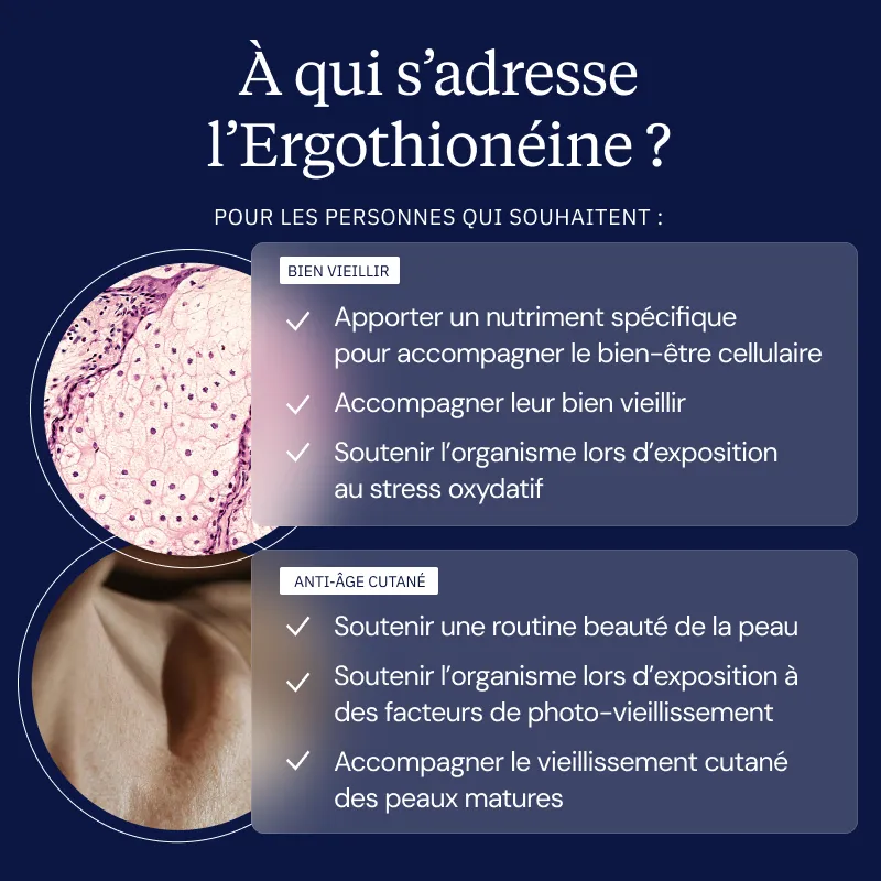 Ergothionéine pure - Image 6