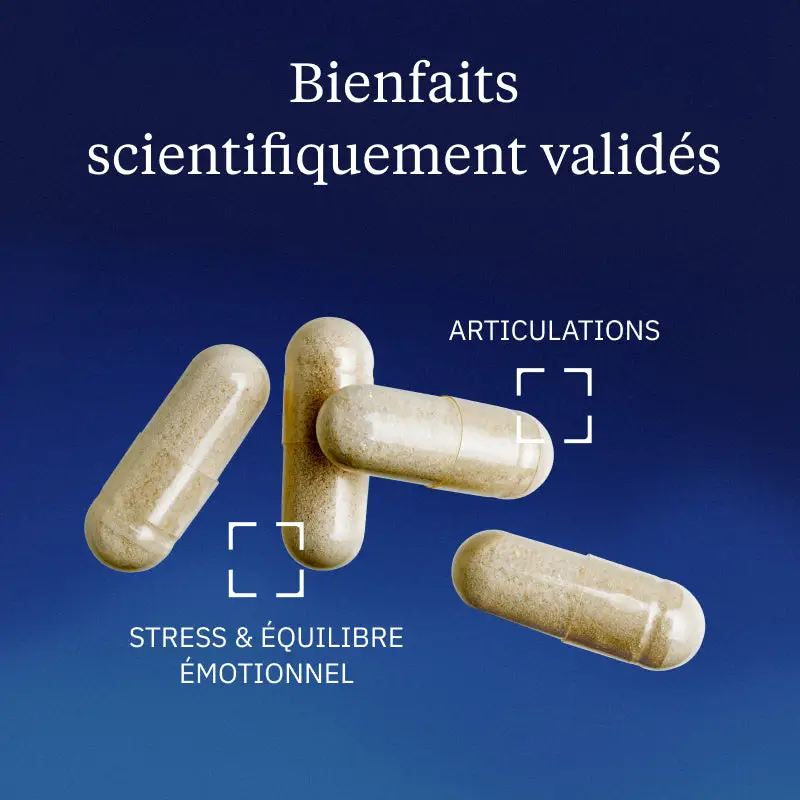 Extrait d'écorce de Saule Blanc - Image 2
