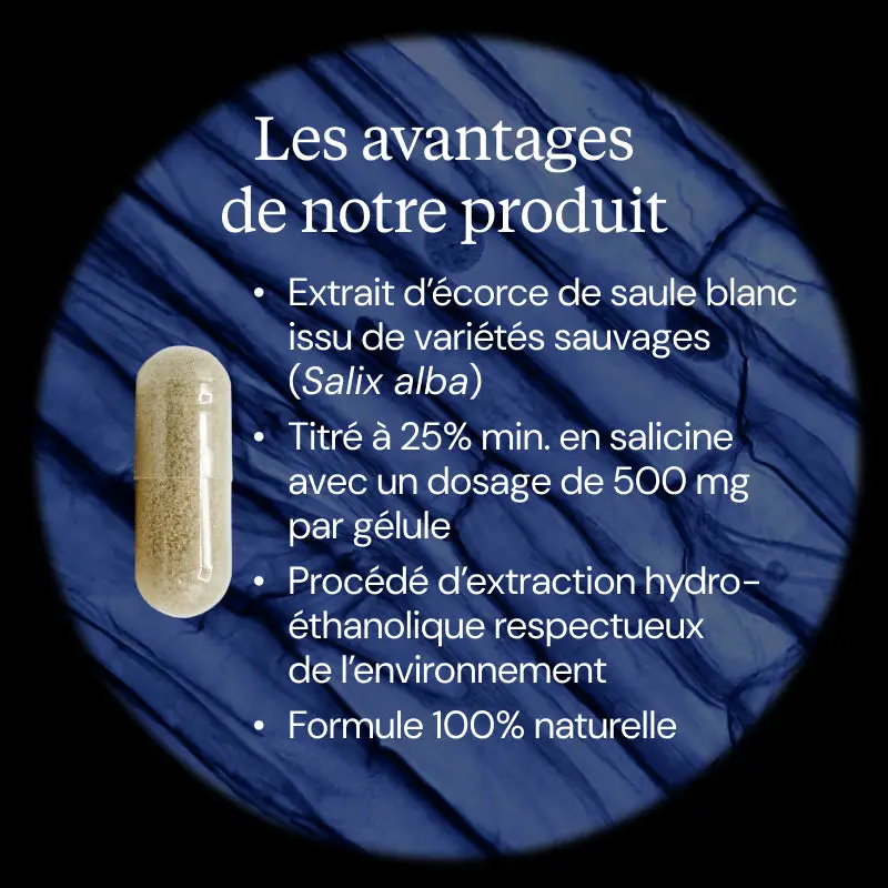 Extrait d'écorce de Saule Blanc - Image 3