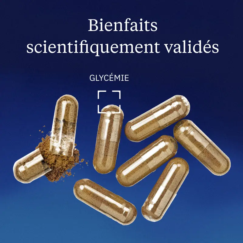 Extrait de mûrier blanc - Image 2