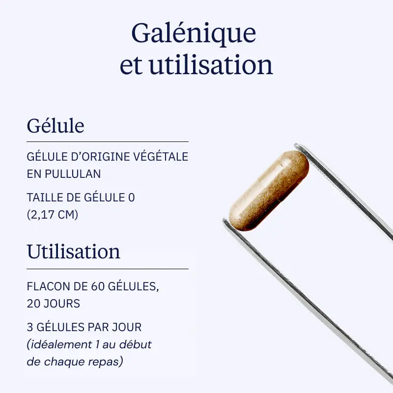 Extrait de mûrier blanc - Image 4