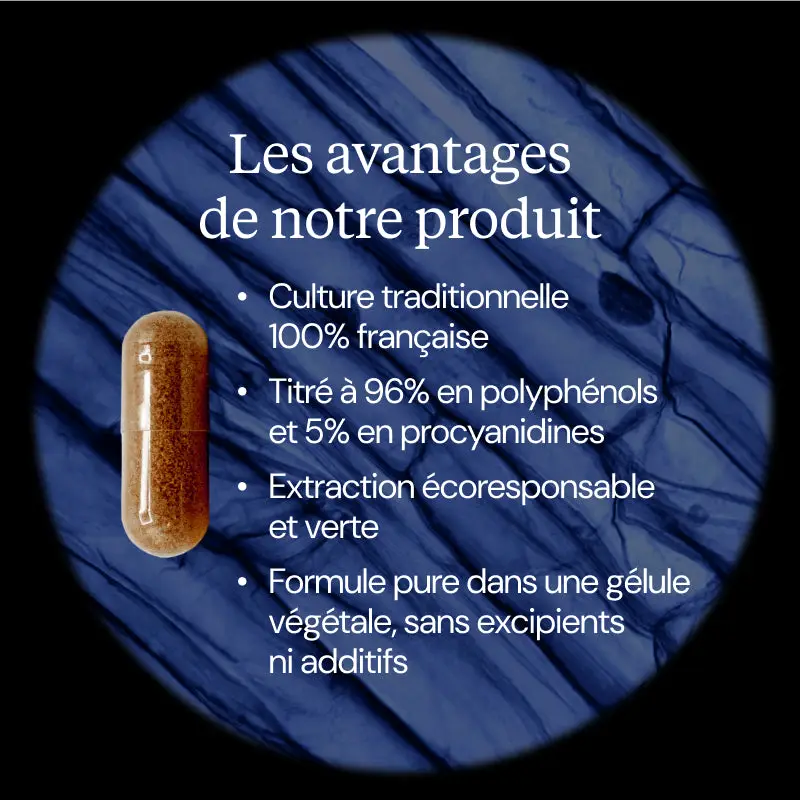 Extrait de pépins de Raisin (OPC) - Image 3