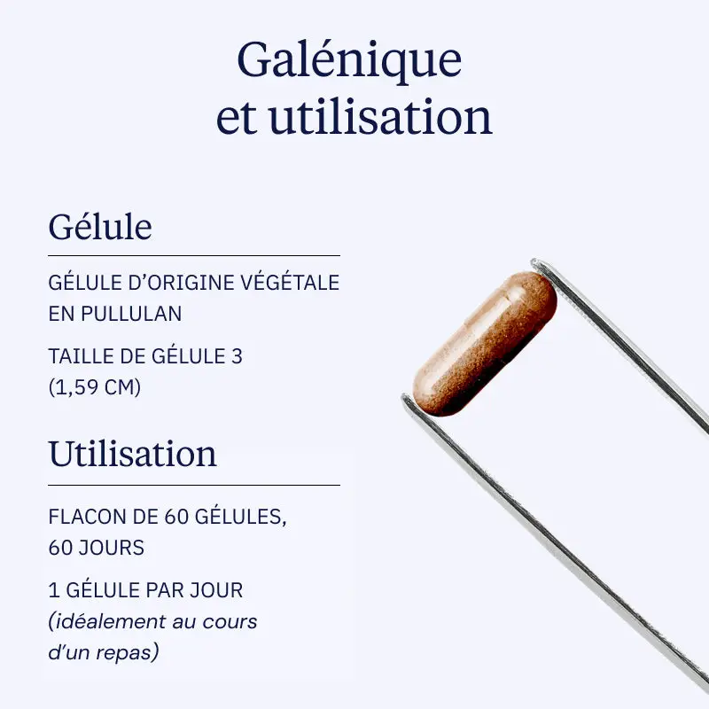Extrait de pépins de Raisin (OPC) - Image 4