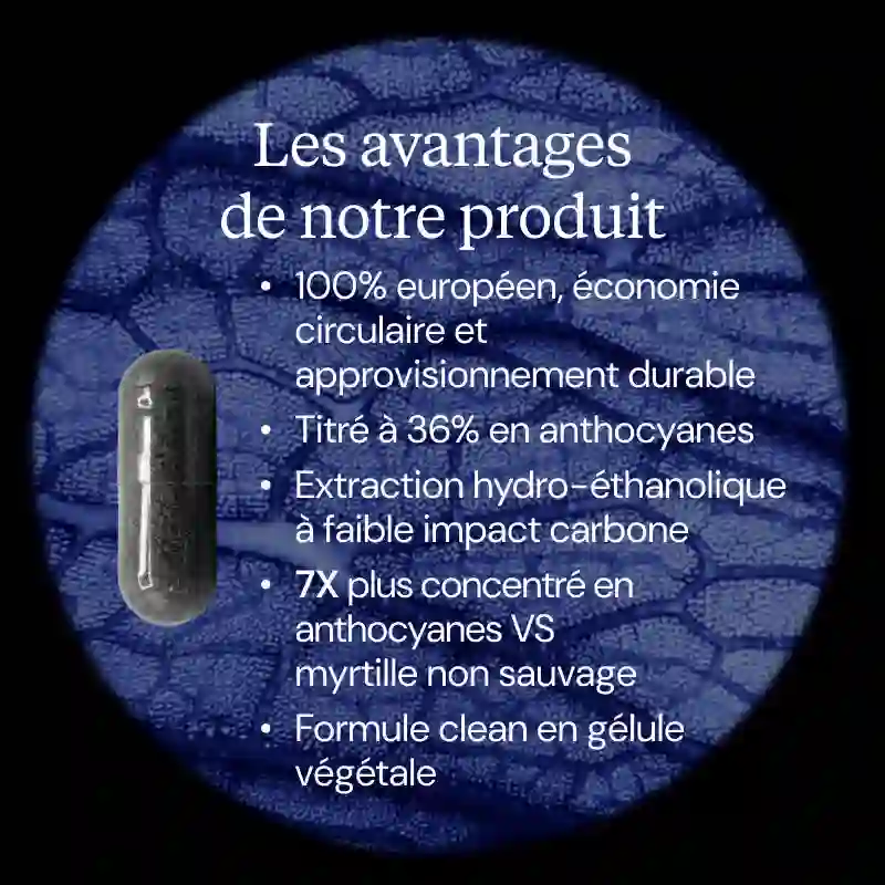 Extrait de myrtille sauvage - Image 3