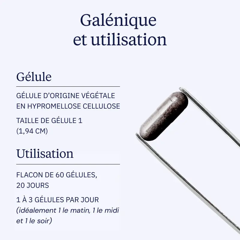 Extrait de myrtille sauvage - Image 4
