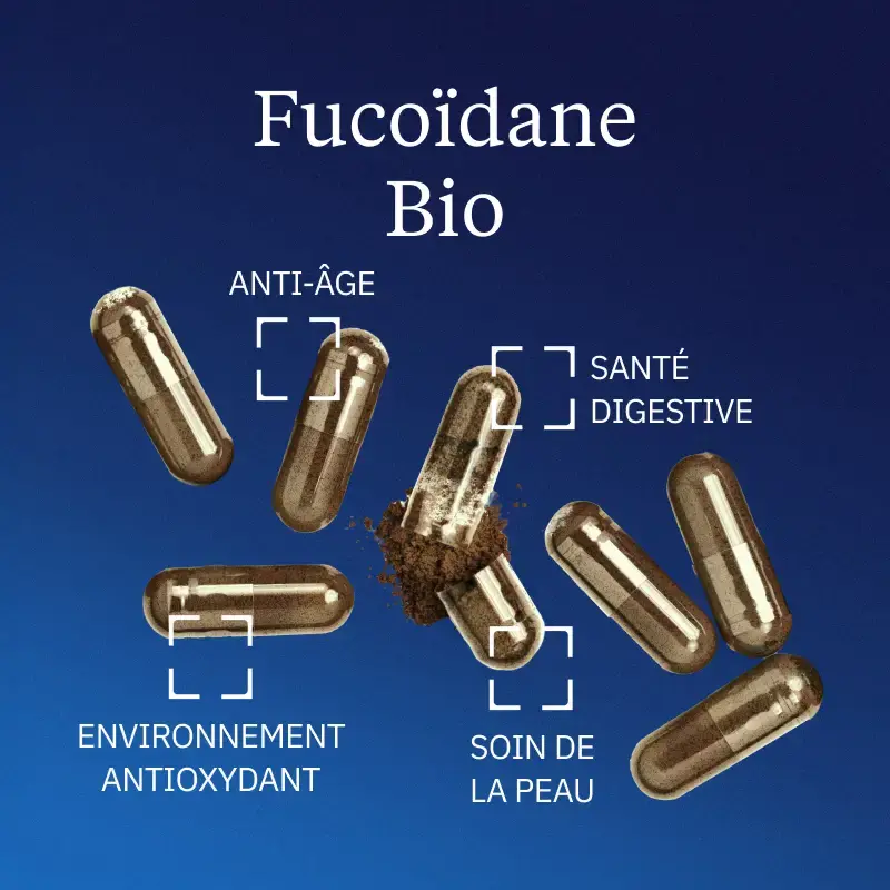 Fucoïdane BIO - Image 2