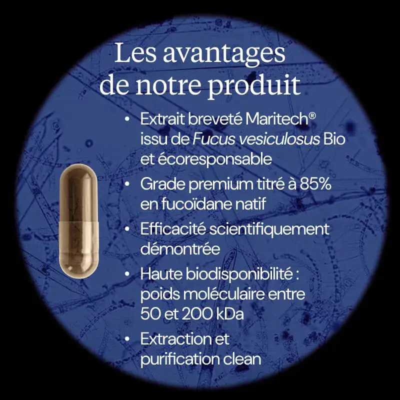 Fucoïdane BIO - Image 3