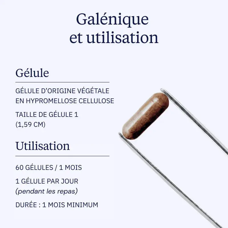 Fucoïdane BIO - Image 5