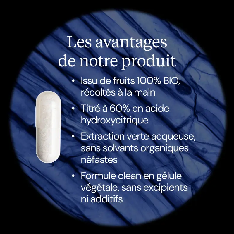 Garcinia cambogia BIO - Image 3