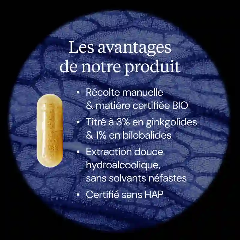 Ginkgo biloba BIO - Image 3