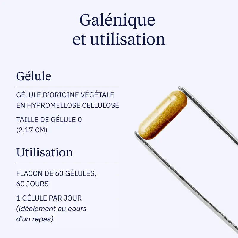 Ginkgo biloba BIO - Image 4
