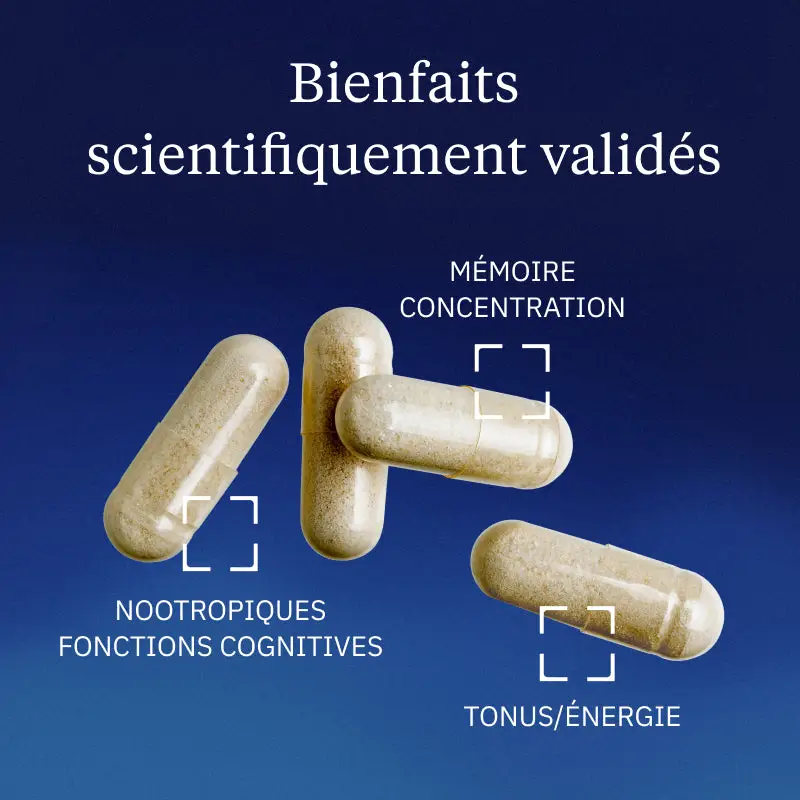 Ginseng BIO Coréen - Image 2